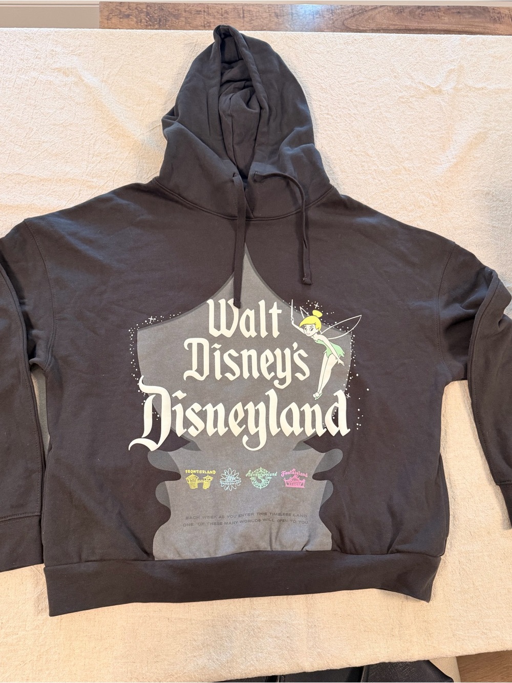 Walt Disney's Disneyland Graphic Hoodie